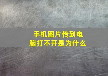 手机图片传到电脑打不开是为什么