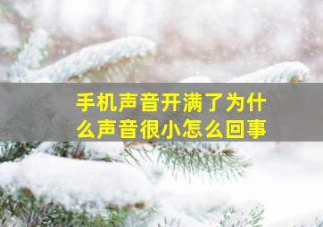 手机声音开满了为什么声音很小怎么回事