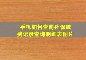 手机如何查询社保缴费记录查询明细表图片