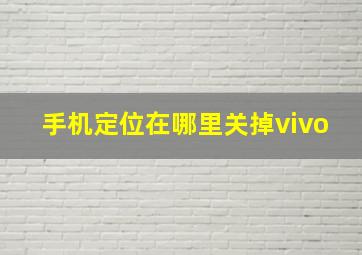 手机定位在哪里关掉vivo