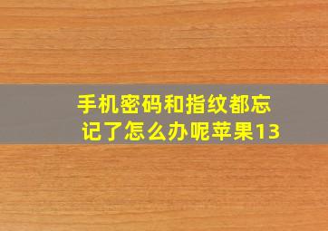 手机密码和指纹都忘记了怎么办呢苹果13