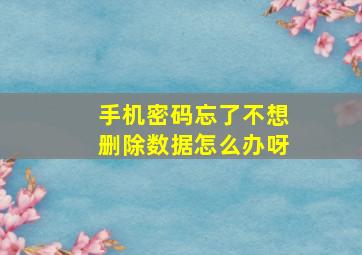 手机密码忘了不想删除数据怎么办呀