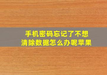 手机密码忘记了不想清除数据怎么办呢苹果