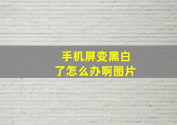 手机屏变黑白了怎么办啊图片