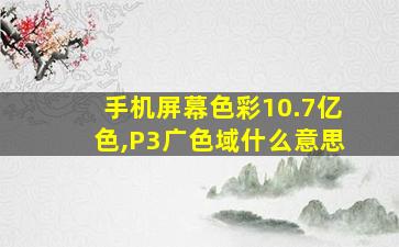 手机屏幕色彩10.7亿色,P3广色域什么意思