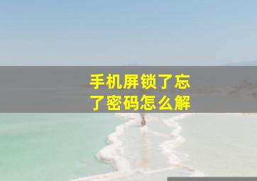 手机屏锁了忘了密码怎么解