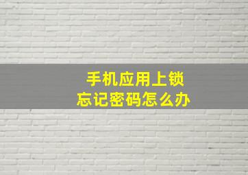 手机应用上锁忘记密码怎么办