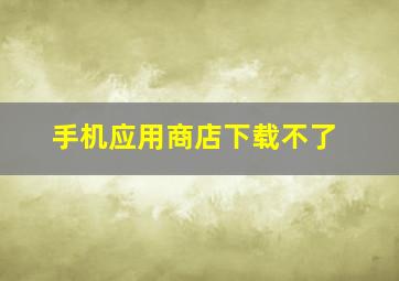 手机应用商店下载不了