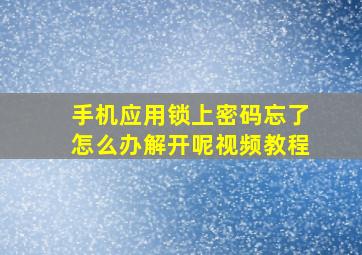 手机应用锁上密码忘了怎么办解开呢视频教程