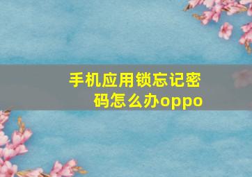 手机应用锁忘记密码怎么办oppo