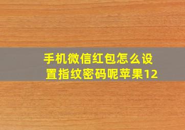 手机微信红包怎么设置指纹密码呢苹果12