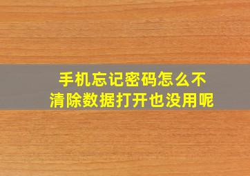 手机忘记密码怎么不清除数据打开也没用呢