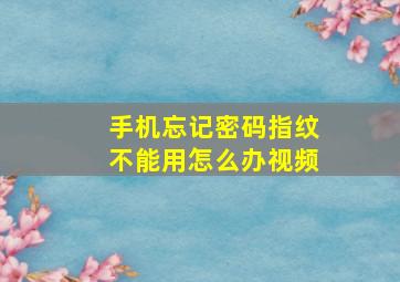 手机忘记密码指纹不能用怎么办视频