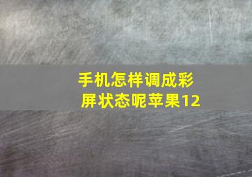 手机怎样调成彩屏状态呢苹果12