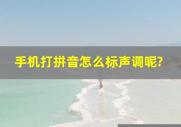 手机打拼音怎么标声调呢?