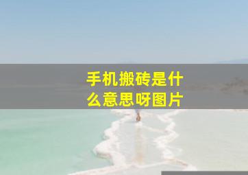 手机搬砖是什么意思呀图片