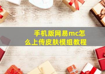 手机版网易mc怎么上传皮肤模组教程