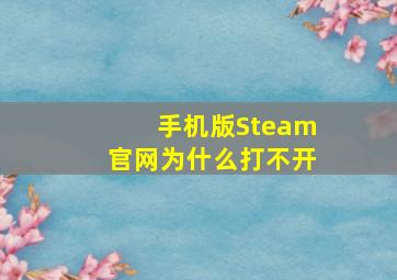 手机版Steam官网为什么打不开