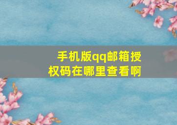 手机版qq邮箱授权码在哪里查看啊