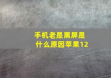 手机老是黑屏是什么原因苹果12