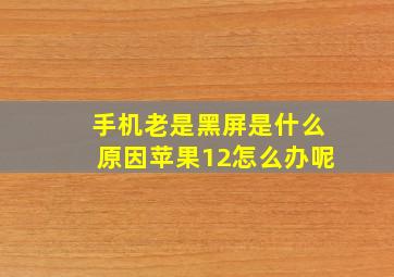 手机老是黑屏是什么原因苹果12怎么办呢