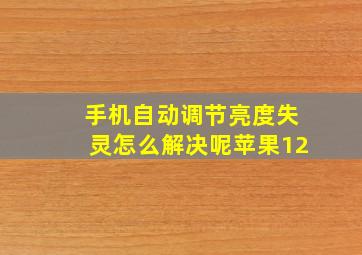 手机自动调节亮度失灵怎么解决呢苹果12