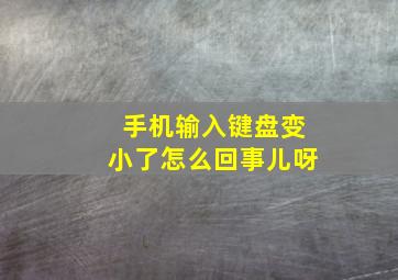 手机输入键盘变小了怎么回事儿呀