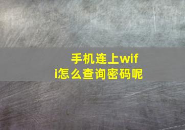 手机连上wifi怎么查询密码呢