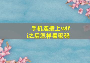 手机连接上wifi之后怎样看密码