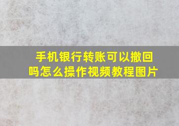 手机银行转账可以撤回吗怎么操作视频教程图片