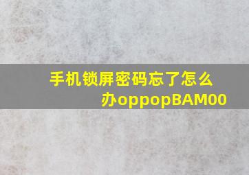 手机锁屏密码忘了怎么办oppopBAM00