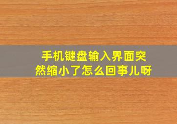 手机键盘输入界面突然缩小了怎么回事儿呀