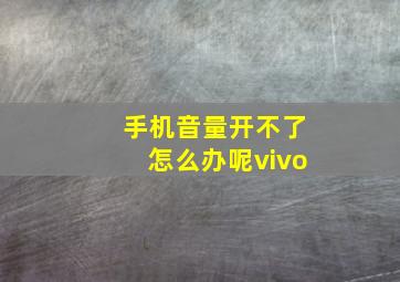 手机音量开不了怎么办呢vivo