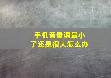 手机音量调最小了还是很大怎么办