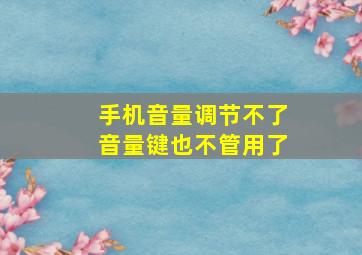 手机音量调节不了音量键也不管用了