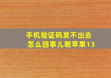 手机验证码发不出去怎么回事儿呢苹果13