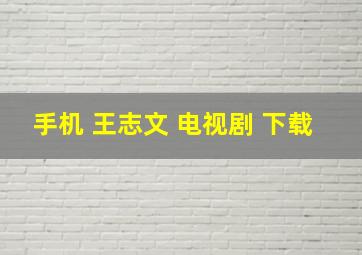 手机 王志文 电视剧 下载