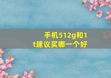 手机512g和1t建议买哪一个好