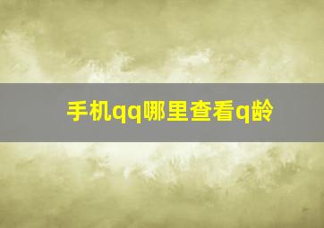 手机qq哪里查看q龄