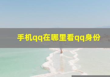 手机qq在哪里看qq身份