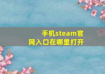 手机steam官网入口在哪里打开