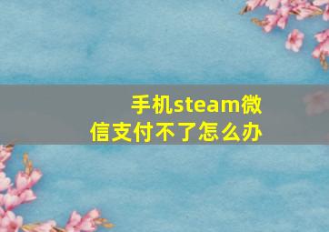 手机steam微信支付不了怎么办