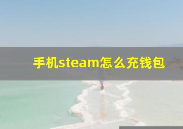 手机steam怎么充钱包