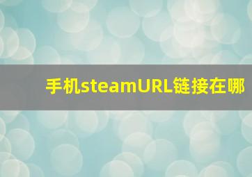 手机steamURL链接在哪