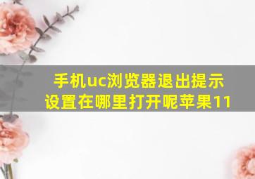 手机uc浏览器退出提示设置在哪里打开呢苹果11