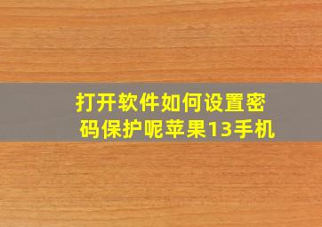 打开软件如何设置密码保护呢苹果13手机