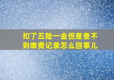 扣了五险一金但是查不到缴费记录怎么回事儿