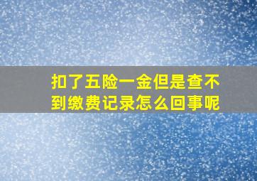 扣了五险一金但是查不到缴费记录怎么回事呢