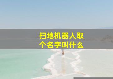 扫地机器人取个名字叫什么