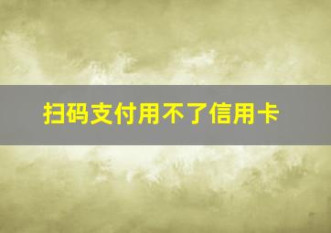 扫码支付用不了信用卡